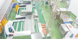 Sơn epoxy cho các nhà máy thực phẩm, dược phẩm